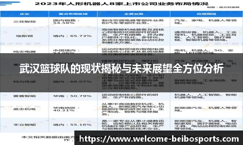 武汉篮球队的现状揭秘与未来展望全方位分析
