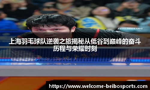 上海羽毛球队逆袭之旅揭秘从低谷到巅峰的奋斗历程与荣耀时刻